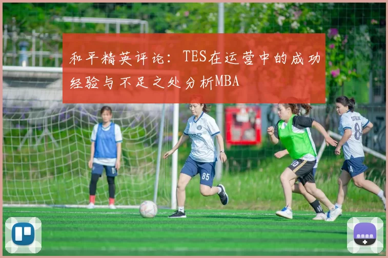 和平精英评论：TES在运营中的成功经验与不足之处分析MBA