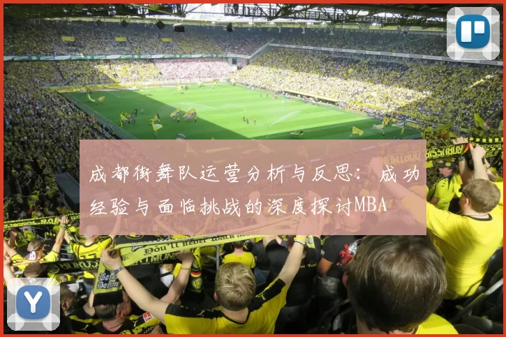 成都街舞队运营分析与反思：成功经验与面临挑战的深度探讨MBA